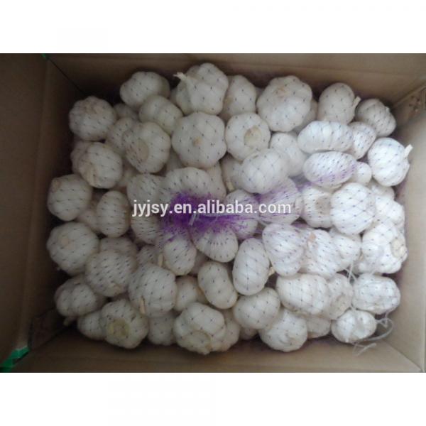 China 2017 Jinxiang Fresh Garlic,garlic Factory #1 image