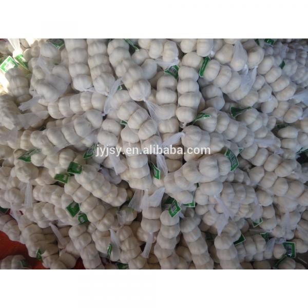 fresh garlic of 2017 from china #2 image