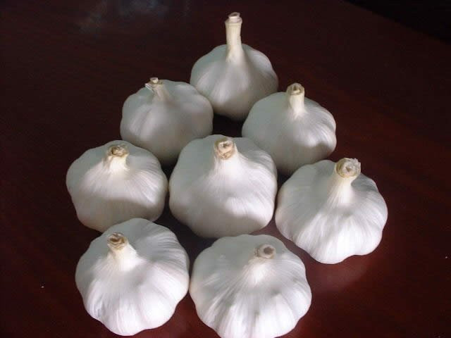 Cheap Garlic For Middle-east Market #1 image
