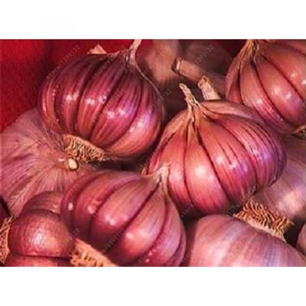100 Pcs/bag Multi-Petals Garlic Seeds Organic Vegetables Kitchen Seasoning Food #2 image