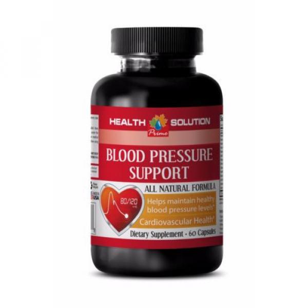 Kyolic Garlic - Blood Pressure Support 985 - Blood Pressure Regulator Pills 1B #1 image