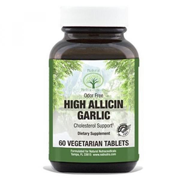 Natural Nutra High Allicin Garlic Supplement, Odorless, Enteric Coated, 500 mg #1 image