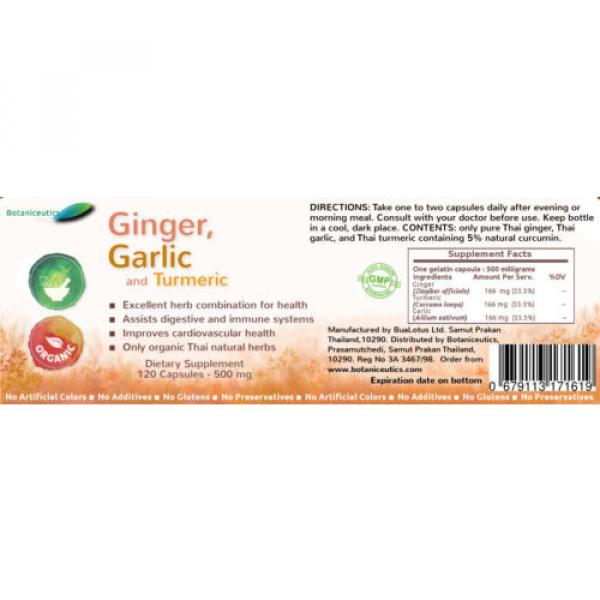 360 Ginger, Garlic &amp; Turmeric Capsules - Circulatory Help, Antioxidant, 500 Mgs #2 image