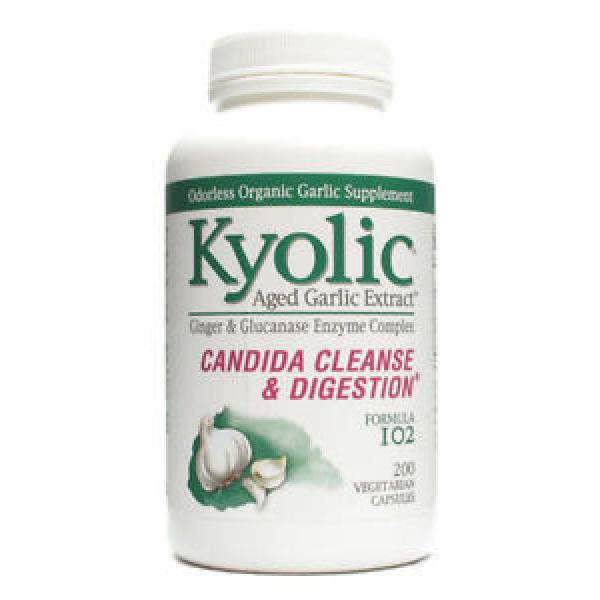 Kyolic Aged Garlic Extract plus Enzyme Formula 102 - 200 Capsules #1 image