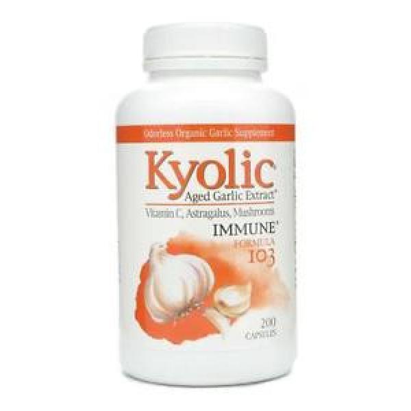 Kyolic Aged Garlic Extract w/ Vitamin C and Astragalus Formula 103 - 200 Caps #1 image