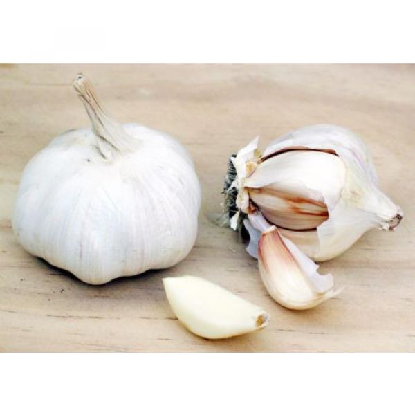Garlic Liver Health - GARLIC ODORLESS 400MG - Reduce Cholesterol 2B #5 image