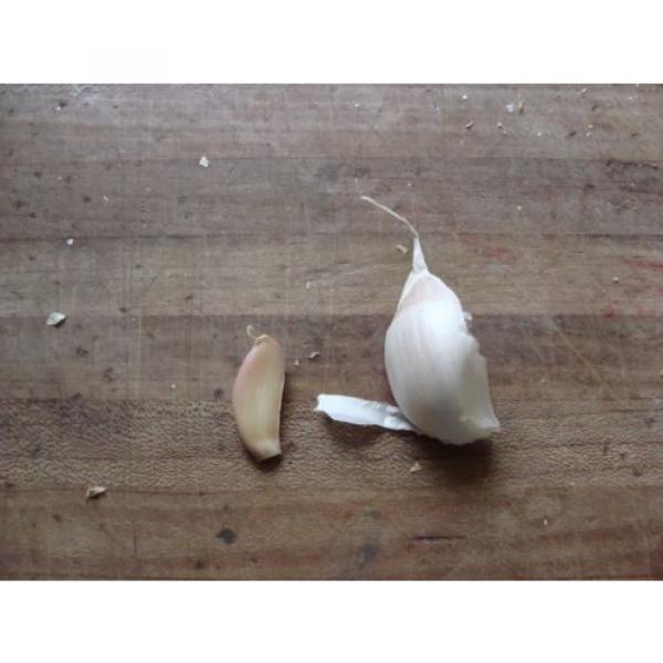 WYOMING. Organic Garlic  100 + Bulbs , Heirloom, For Planting  LARGE BULBS 1LB + #3 image