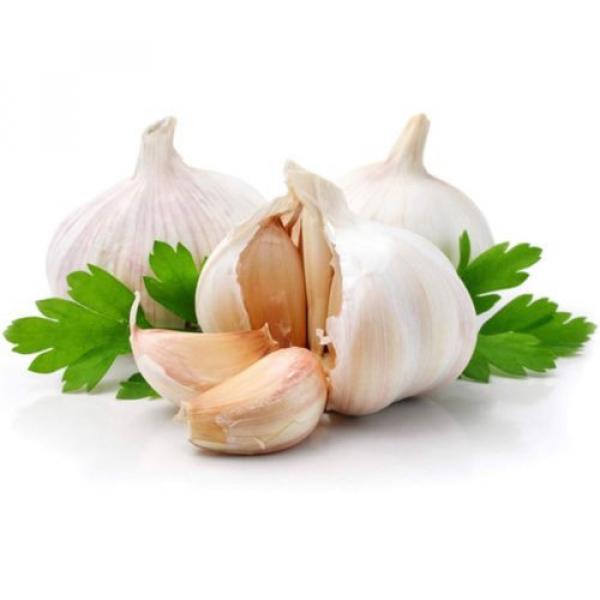 Garlic 2mg 90 Odourless Capsules 3 Months supply. (L) #3 image