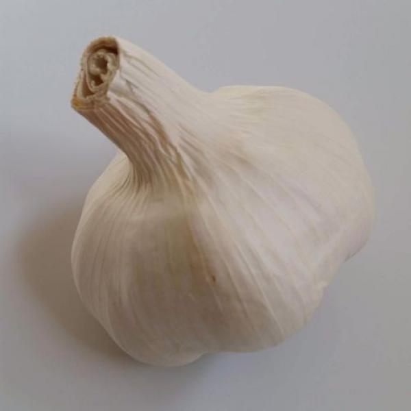 5 lbs of ORGANIC Cold Treated Garlic for Spring Planting #1 image