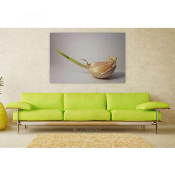 Stunning Poster Wall Art Decor Food Garlic 36x24 Inches #1 image