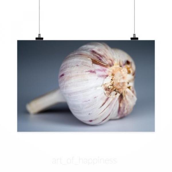 Stunning Poster Wall Art Decor Garlic Food Spices Taste Health 36x24 Inches #2 image