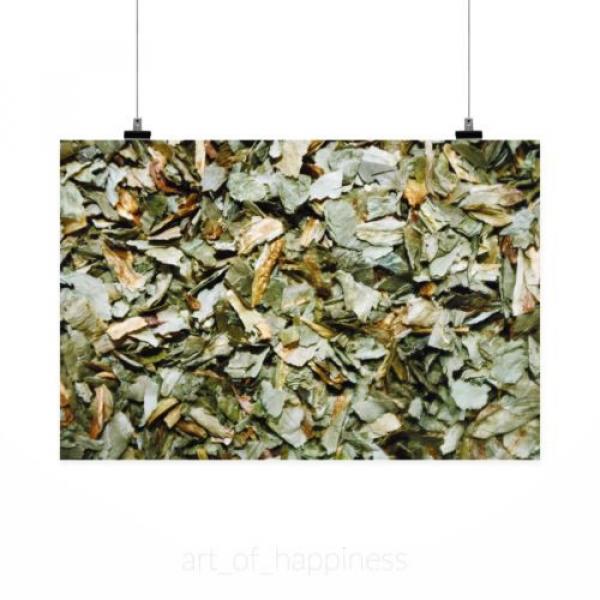 Stunning Poster Wall Art Decor Wild Garlic Dried Sliced Herb 36x24 Inches #2 image