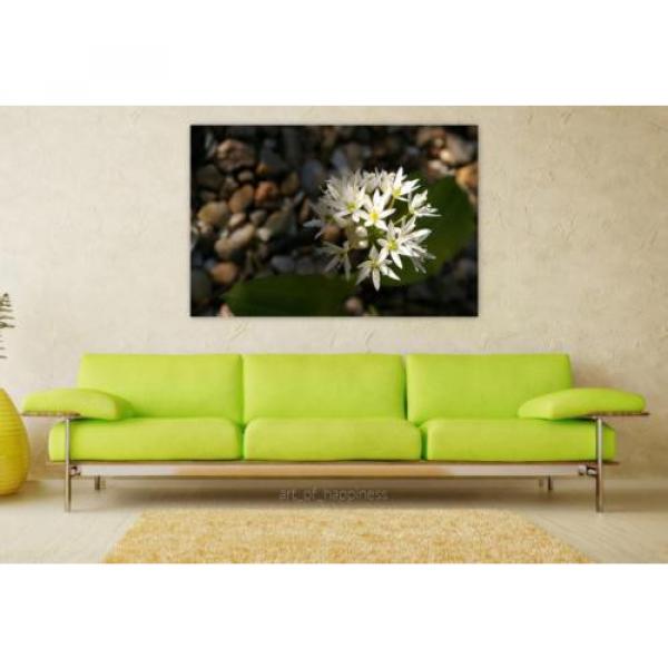 Stunning Poster Wall Art Decor Bear S Garlic Herbs Bloom Flowers 36x24 Inches #1 image