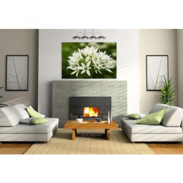 Stunning Poster Wall Art Decor Bear S Garlic Blossom Bloom White 36x24 Inches #3 image