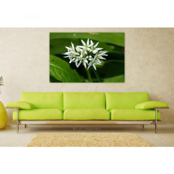 Stunning Poster Wall Art Decor Wild Garlic Nature Colors White 36x24 Inches #1 image