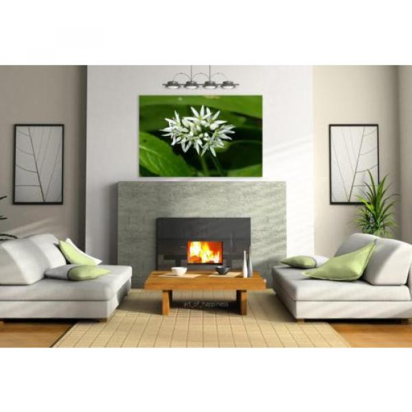 Stunning Poster Wall Art Decor Wild Garlic Nature Colors White 36x24 Inches #3 image