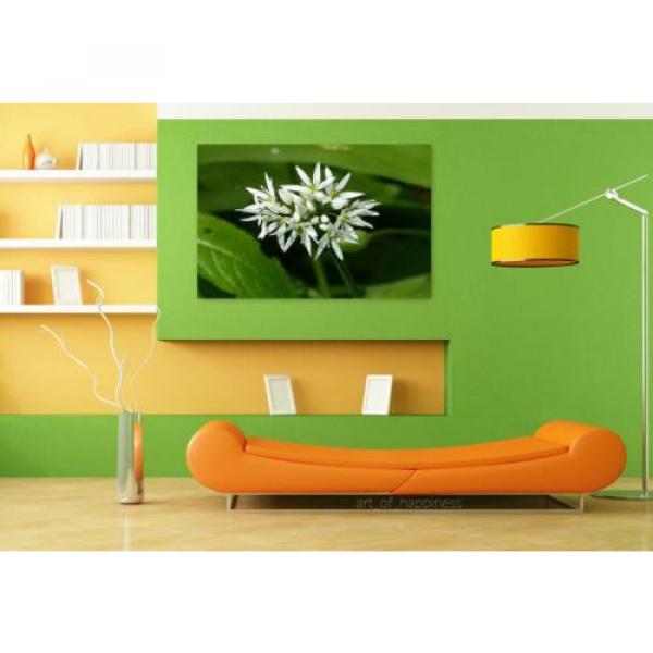 Stunning Poster Wall Art Decor Wild Garlic Nature Colors White 36x24 Inches #4 image