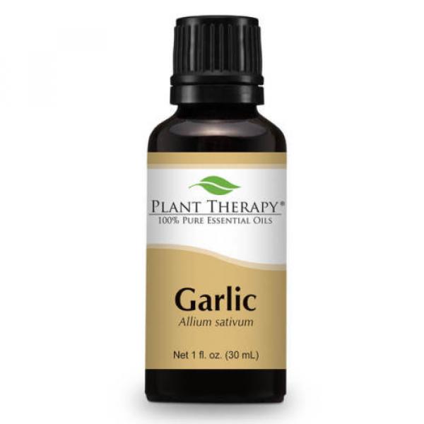 Garlic Essential Oil. 30 ml (1 oz). 100% Pure, Undiluted, Therapeutic Grade #1 image