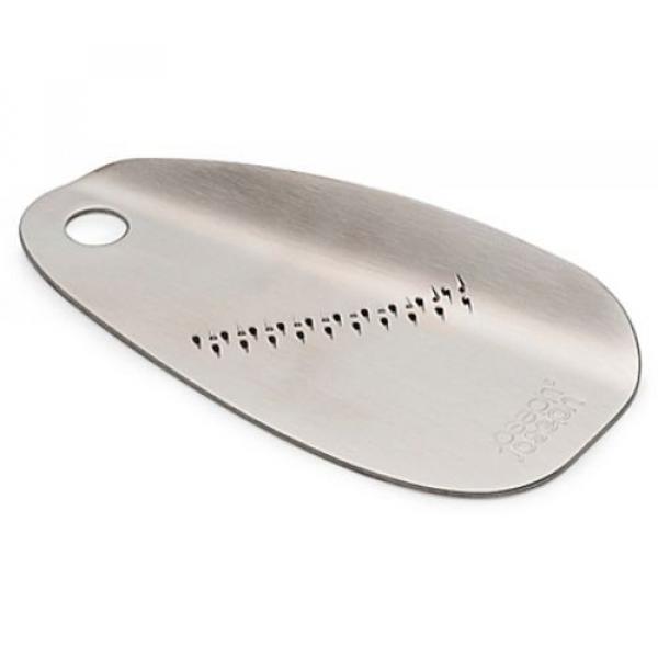 Line Garlic and Ginger Grater in Silver bBoasts a Simple and Straightforward #1 image