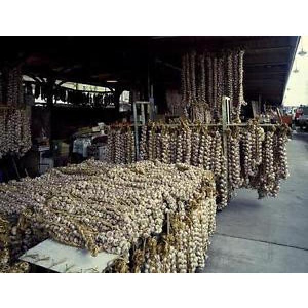 Photo of Garlic Strings at French Quarter Market,New Orleans,Louisiana,LA #1 image
