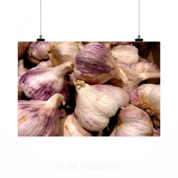 Stunning Poster Wall Art Decor Garlic Violet Head Of Garlic 36x24 Inches #2 image