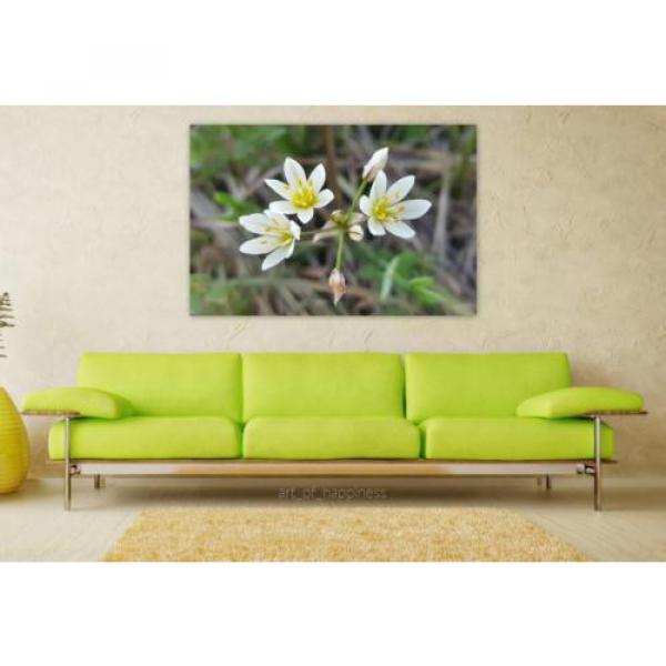 Stunning Poster Wall Art Decor False Garlic Crow Poison Flowers 36x24 Inches #1 image
