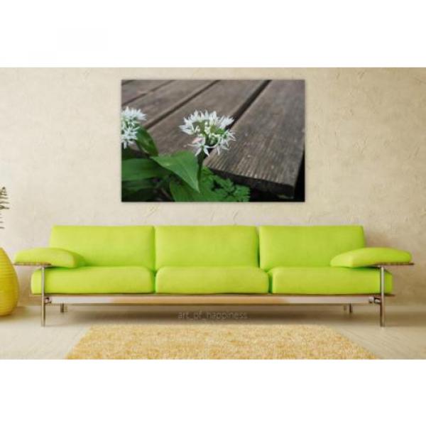 Stunning Poster Wall Art Decor Bear S Garlic Inflorescence Blossom 36x24 Inches #1 image