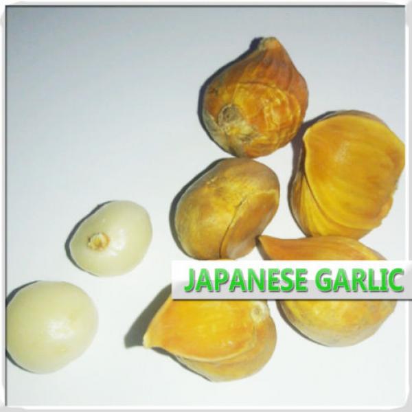 Ajo Japones 16 Oz / Japanese Garlic 1LB #1 image