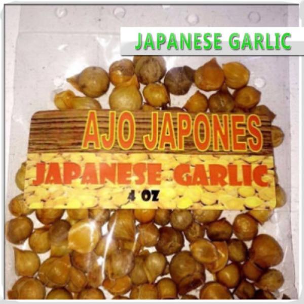 Ajo Japones 16 Oz / Japanese Garlic 1LB #3 image