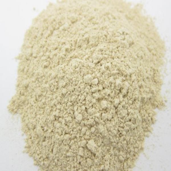 Garlic Powder - 11 Lbs #1 image