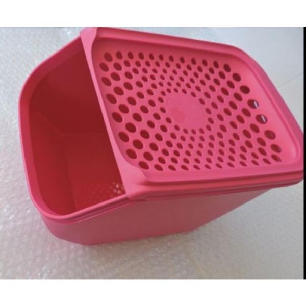 Tupperware Onion &amp; Garlic Smart Access Mate Pink 3qt~3L with Self Vent Seal New #4 image