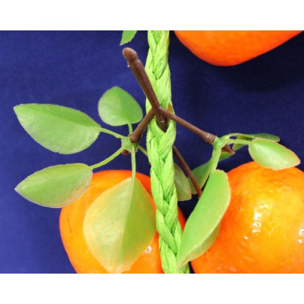 Plastic Fruit Vegetables Garlic Mandarins Pumpkin Shop Display Food Styling #5 image