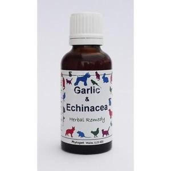 PhytoPet Herbal Remedies Garlic &amp; Echinacea 100ml dog cat boost immune system #1 image