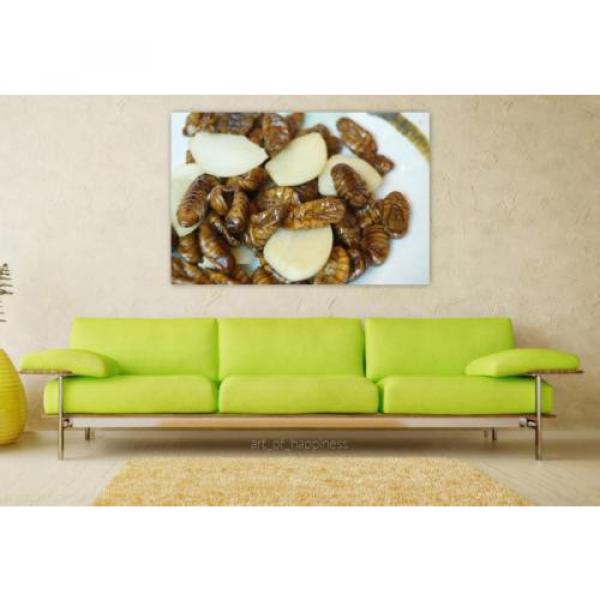 Stunning Poster Wall Art Decor Chrysalis Silkworm Garlic Chrysalis 36x24 Inches #1 image