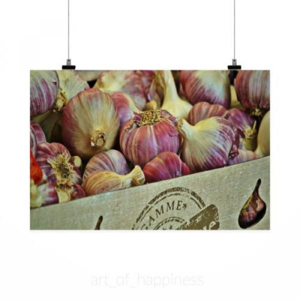 Stunning Poster Wall Art Decor Garlic Spice Food Herb 36x24 Inches #2 image