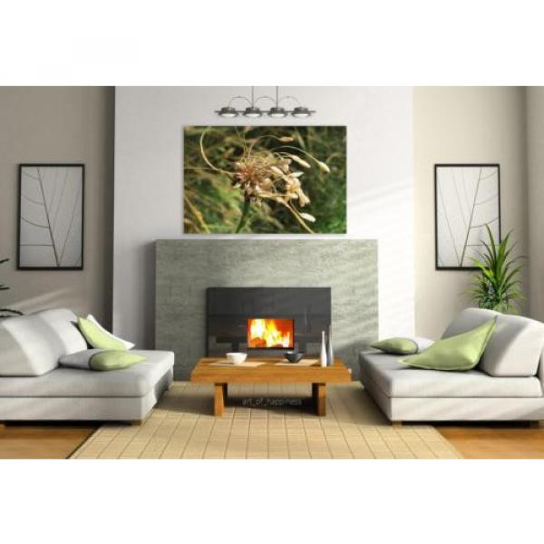 Stunning Poster Wall Art Decor Allium Oleraceum Field Garlic 36x24 Inches #3 image