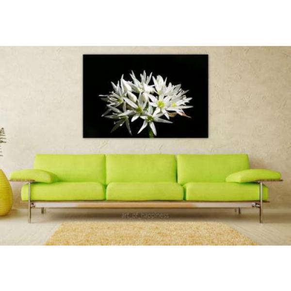 Stunning Poster Wall Art Decor Wild Garlic Flower Spring 36x24 Inches #1 image