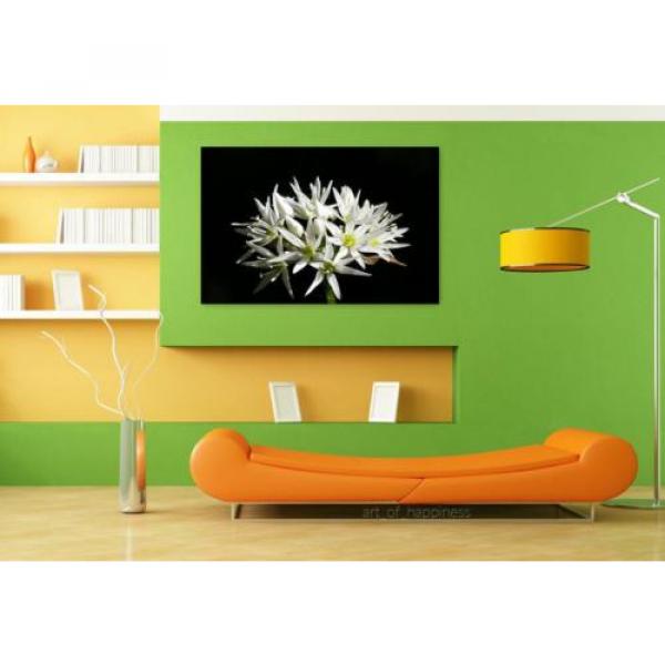 Stunning Poster Wall Art Decor Wild Garlic Flower Spring 36x24 Inches #4 image