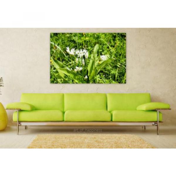 Stunning Poster Wall Art Decor Bear S Garlic Blossom Bloom Bloom 36x24 Inches #1 image