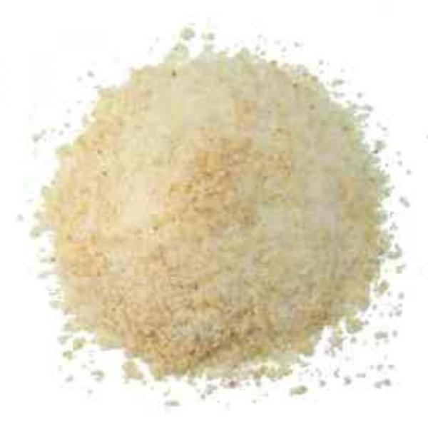Garlic Salt - 5.52 lb #1 image