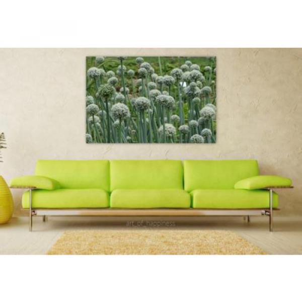 Stunning Poster Wall Art Decor Green Plant Nature Flower Garlic 36x24 Inches #1 image